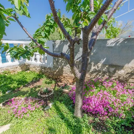 House Ela 3* Donji Okrug (Ciovo)